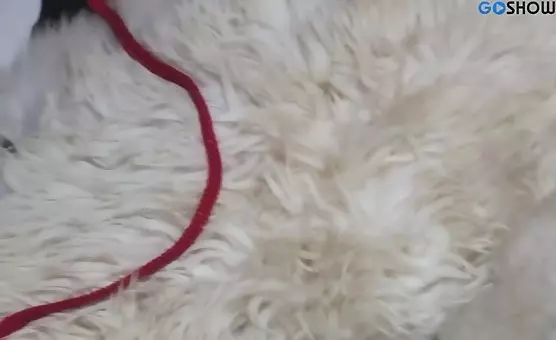 Sated by Two Sluts